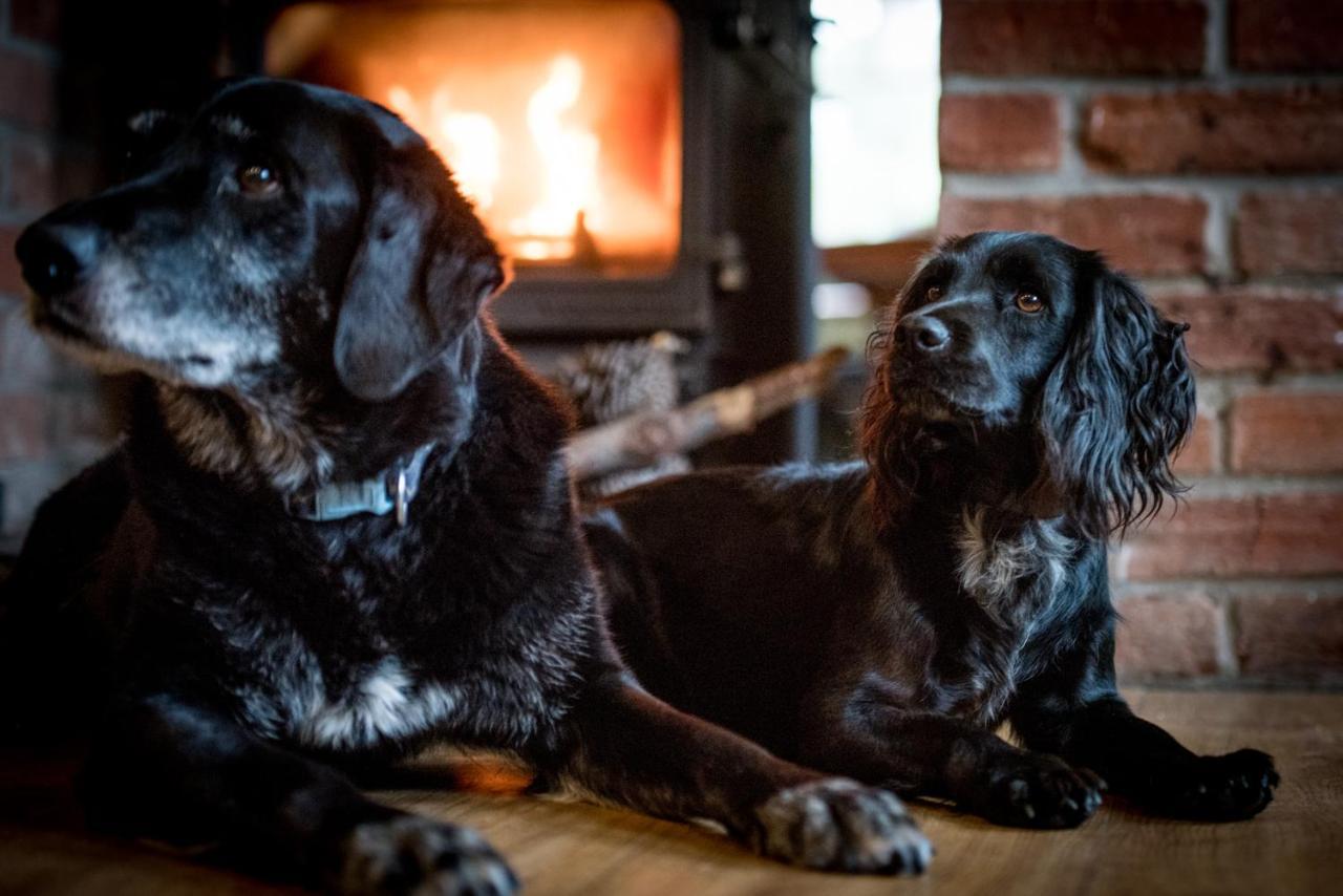 Hotel The Kings Arms Otterton Budleigh Salterton Zewnętrze zdjęcie