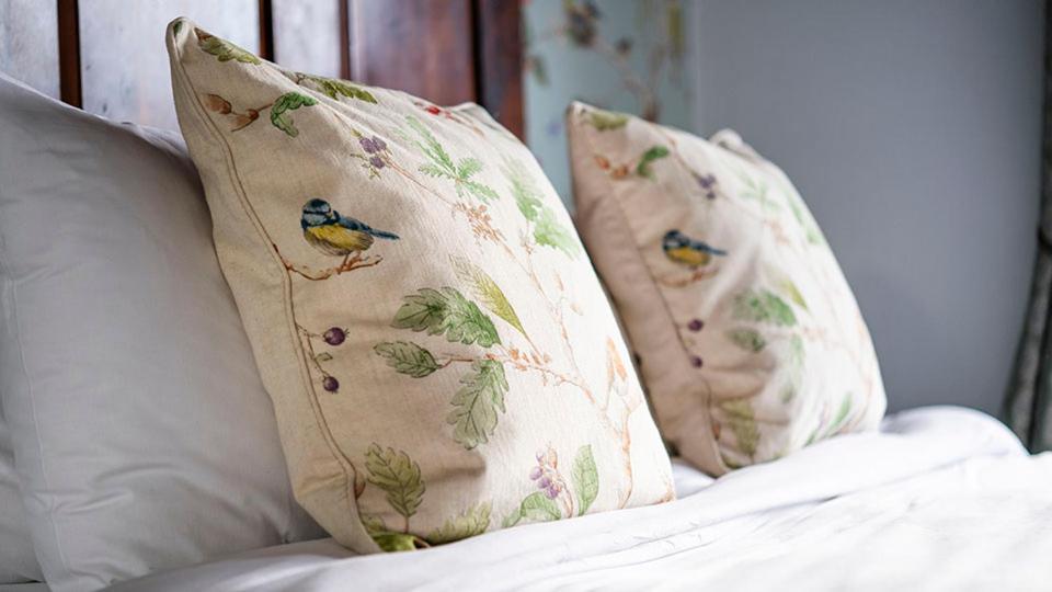 Hotel The Kings Arms Otterton Budleigh Salterton Zewnętrze zdjęcie